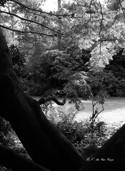 Bois des Moutiers  (59) Summer 2012